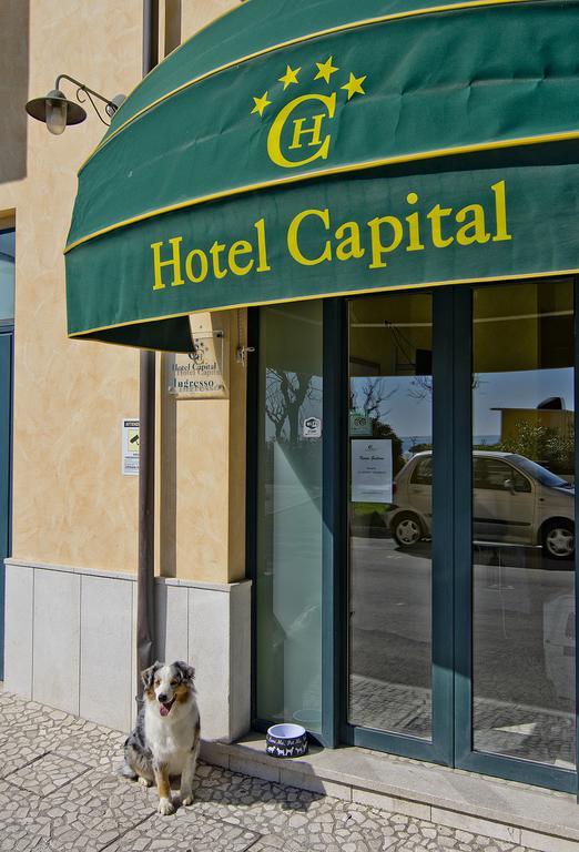 Hotel Capital Cupra Marittima Eksteriør billede